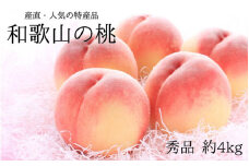 【産直・人気の特産品】和歌山の桃 約4kg 秀品 ※2025年6月下旬～8月上旬頃順次発送  / もも モモ フルーツ 果物 くだもの 人気 甘い 和歌山【tec911A】