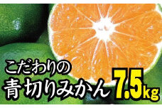 【2025年秋頃発送予約分】【農家直送】こだわりの青切りみかん 約7.5kg  有機質肥料100%　 サイズ混合　※2025年9月下旬より順次発送予定（お届け日指定不可）【nuk107D】