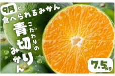 【2025年秋頃発送予約分】【農家直送】こだわりの青切りみかん 約7.5kg  有機質肥料100%　 サイズ混合　※2025年9月下旬より順次発送予定（お届け日指定不可）【nuk107E】