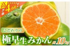 【2025年秋頃発送予約分】【農家直送】こだわりの極早生みかん 約10kg 【数量限定】 有機質肥料100% サイズ混合 ※2025年9月下旬より順次発送予定（お届け日指定不可） / 早生みかん みかん ミカン 有田みかん 温州みかん 柑橘 有田 和歌山 産地直送  くだもの 果物 フルーツ 柑橘類 和歌山 すさみ町【nuk135C】
