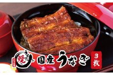 国産うなぎ蒲焼 大サイズ３枚(合計約450g)薬味付【すさみグルメ市場】【miw106】