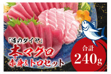 本マグロ（養殖）トロ＆赤身セット 240g 【１ヶ月以内に順次発送】/ 高級 クロマグロ  中トロ 中とろ  まぐろ マグロ 鮪 刺身 赤身 柵 じゃばらまぐろ 本マグロ 本鮪 【nks113】