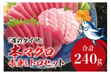 本マグロ（養殖）トロ＆赤身セット 240g 【１ヶ月以内に順次発送】/ 高級 クロマグロ  中トロ 中とろ  まぐろ マグロ 鮪 刺身 赤身 柵 じゃばらまぐろ 本マグロ 本鮪 【nks113B】