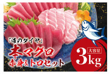 本マグロ（養殖）トロ＆赤身セット 3kg 【１ヶ月以内に順次発送】/ 高級 クロマグロ  中トロ 中とろ  まぐろ マグロ 鮪 刺身 赤身 柵 じゃばらまぐろ 本マグロ 本鮪 【nks112】