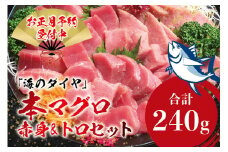本マグロ（養殖）トロ＆赤身セット 240g 【12/26～30発送】高級 クロマグロ  中トロ 中とろ まぐろ マグロ 鮪 刺身 赤身 柵 じゃばらまぐろ 本マグロ 本鮪 【nks113-sg】