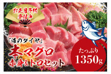 本マグロ（養殖）トロ＆赤身セット 1350g 【12月26日～30日に発送】 高級 クロマグロ  中トロ 中とろ  まぐろ マグロ 鮪 刺身 赤身 柵 じゃばらまぐろ 本マグロ 本鮪 【nks111-sg】