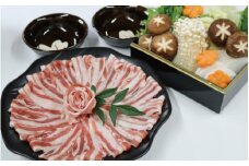 【数量限定】F1 イノブタしゃぶしゃぶセット（ロース・バラ・モモ・ギフトボックス）INOBUTA いのぶた 猪豚肉 小分け スライス
【sff106】