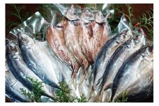 干物の王道！アジ開きの干物セット  6～9枚入（1パック中サイズ2枚入りか小サイズ3枚入）/ ひもの あじ 鯵 詰め合わせ 魚 和歌山すさみ町加工【gyg106】