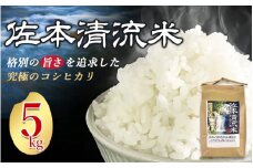 【先行予約】佐本川の清流で育てた 「 佐本清流米（コシヒカリ） 」 5kg  / お米 米 コメ こめ 新米 ご飯 白ごはん 白米 コシヒカリ 和歌山県 すさみ町【tko101A】