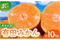 【先行予約】 和歌山県産 有田みかん 約10kg ※2025年11月中旬より順次発送予定【訳あり】ご家庭用 サイズ混合 （お届け日指定不可） 訳ありみかん 温州みかん サイズ混合 有機質肥料100% 柑橘 有田 産地直送 みかん フルーツ 有田ミカン 和歌山 果物 くだもの 正月 年末 年内※北海道・沖縄・離島への配送不可 【nuk138E】
