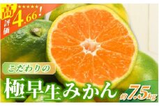 【2025年秋頃発送予約分】【農家直送】こだわりの極早生みかん 約7.5kg【数量限定】 有機質肥料100% サイズ混合 ※2025年9月下旬より順次発送予定（お届け日指定不可） / 早生みかん みかん ミカン 有田みかん 温州みかん 柑橘 有田 和歌山 産地直送  くだもの 果物 フルーツ 柑橘類 和歌山 すさみ町【nuk136C】