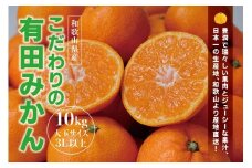 【農家直送】＼数量限定で復活！！／ びっくり有田みかん 約10kg 大玉3L以上 さらに年末年始発送！ 有機質肥料100% /  有田みかん みかん 温州みかん 11000円  柑橘 有田 フルーツ 果物 デザート 家庭用 贈答 和歌山 産地直送 ※2024年12月下旬頃より順次発送(お届け日指定不可)【nuk139D】