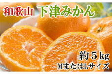 【産直・秀品】和歌山下津みかん約5kg(MサイズまたはLサイズのいずれかをお届け) 　※2025年11月中旬～2026年1月中旬頃順次発送 / みかん ミカン 果物 フルーツ くだもの 柑橘 オレンジ 和歌山 有田みかん【tec871A】