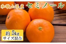 和歌山県由良町産セミノールオレンジ約5kg(サイズ混合　秀品) 【tec922A】