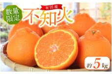 先行予約 紀州有田産 不知火(しらぬひ)  約5kg ＜2026年2月中旬頃〜2026年3月中旬頃発送＞ 不知火 デコポン みかん ミカン 柑橘 果物 くだもの  フルーツ 旬 和歌山【uot709A】