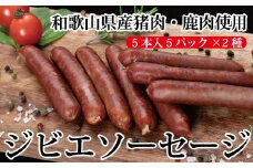わかやまジビエソーセージ　猪・鹿１０パックセット【mtf104】