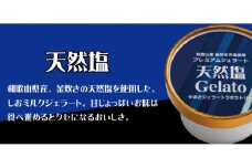 プレミアムジェラート 天然塩12個セット アイスクリームセット 100mlカップ ゆあさジェラートラボラトリー【sutb700-04】