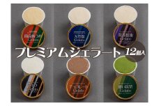 プレミアムジェラート 詰め合わせセット（6種類×2個） アイスクリームセット 100mlカップ ゆあさジェラートラボラトリー【sutb701】