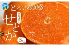 【柑橘の大トロ】 せとか ご家庭用 約5kg 紀州和歌山産 / 訳あり 不揃い みかん 22000円 蜜柑 柑橘 おいしい 甘い 果物 フルーツ 人気 数量限定【先行予約】※2026年2月上旬頃〜2026年3月中旬頃順次発送予定(お届け日指定不可)【uot748A】