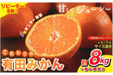【2025年11月発送予約分】【家庭用】【農家直送】こだわりの有田みかん 約8kg＋250g(傷み補償分) 有機質肥料100% サイズ混合　【11月発送】※北海道・沖縄・離島配送不可【nuk100-11】