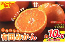 【2025年11月発送予約分】【家庭用】【農家直送】こだわりの有田みかん 約10kg＋250g(傷み補償分) 有機質肥料100%  サイズ混合　【11月発送】※北海道・沖縄・離島配送不可【nuk101-11】