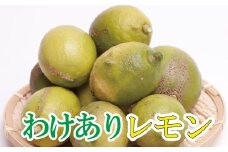 ＜先行予約＞家庭用 黒潮レモン 5kg+250g（傷み補償分）【和歌山有田産】【防腐剤・WAX不使用、安心の国産レモン】【わけあり・訳ありレモン】/ くだもの 果物 フルーツ 柑橘 レモン レモン果汁【ikd031C】