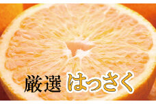 ＜先行予約＞厳選はっさく5kg+150g（傷み補償分）【八朔みかん・ハッサク】＜1月より発送＞【ikd044A】