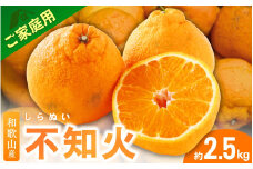 ＜3月下旬より発送＞【先行予約】ファミリー層 高評価★家庭用不知火2.5kg+250g（傷み補償分）【デコポンと同品種・人気の春みかん】【わけあり・訳あり】 和歌山 不知火 柑橘 くだもの フルーツ 果物 みかん【ikd053D】