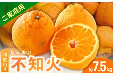 ＜2月より発送＞【先行予約】家庭用不知火7.5kg+250g（傷み補償分）【デコポンと同品種・人気の春みかん】【わけあり・訳あり】 / 和歌山 みかん 果物 ミカン フルーツ 果実 柑橘 デコポン【ikd055D】