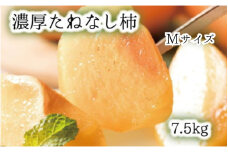 【和歌山ブランド】 濃厚たねなし柿　秀品　Mサイズ　約7.5kg入り ※2025年10月上旬頃～11月上旬頃発送予定 / かき 柿 カキ 和歌山 フルーツ 果物 くだもの 【ard011C】
