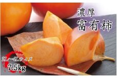 【秋の美味】【和歌山ブランド】濃厚!富有柿　秀品　2L～4Lサイズ(約7.5kg入り) ※2025年11月中旬頃～12月上旬頃順次発送予定 / かき 柿 カキ フルーツ くだもの 果物【ard014C】