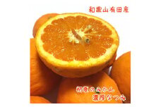 【みかん名産地和歌山有田】濃厚なつみオレンジ(ご家庭用) 約2kg　※北海道・沖縄・離島配送不可【ard035A】