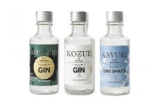 紀州の地酒　和製クラフトジン・スピリッツの3種セット / おすすめ お酒 酒 蒸留酒 和歌山 飲み比べ ジン スピリッツ 【eki118A】