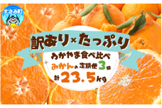 【3か月定期便】たっぷり届く♪訳ありみかんの定期便 / みかん定期便 みかん 果物 フルーツ定期便 フルーツ 柑橘 和歌山 有田ミカン 有田みかん【tkb113】