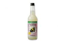 冨士白グレープフルーツチュウハイの素　600ml×1本/酎ハイ チューハイ 割材 生搾り風 果汁 【kis133】