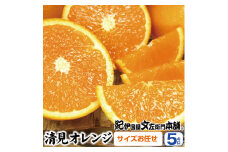 清見オレンジ約5kg/果実サイズおまかせ※2025年2月中旬～4月下旬頃発送予定　　　紀伊国屋文左衛門本舗【sutb400A】