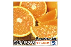 清見オレンジ約5kg/果実サイズおまかせ※2026年2月中旬～2026年4月下旬頃発送予定  / みかん 果物 くだもの フルーツ オレンジ 紀伊国屋文左衛門本舗【sutb400B】
