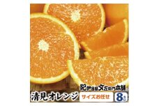 清見オレンジ 約8kg / 果実サイズおまかせ ※2025年2月中旬～4月下旬頃発送予定  紀伊国屋文左衛門本舗 / オレンジ 清美オレンジ 和歌山 柑橘 みかん 果物 フルーツ【sutb401C】
