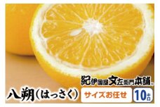 八朔(はっさく)約10kg サイズおまかせ　紀伊国屋文左衛門本舗※2025年1月下旬～4月上旬頃発送予定【sutb411A】