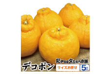 デコ不知火（デコポン） 約5kg/サイズおまかせ　※2025年2月上旬～4月上旬頃に順次発送予定(お届け日指定不可)　紀伊国屋文左衛門本舗　【sutb420A】