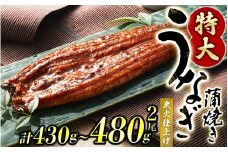 【通常配送】1尾で約215g～240gのビッグサイズ うなぎ蒲焼 2尾 計約430g～480g （タレ・山椒付き） 中国産 鰻 うなぎ うなぎの蒲焼 炭火焼き 炭火 特大サイズ【nks700B】