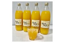 【果汁100%】無添加！贅沢絞りのせとかストレートジュース 1000ml 4本セット【nuk130】