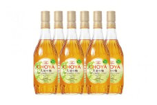 The CHOYA 大地の梅 700ml×6本(1ケース)/梅酒 梅 ウメ お酒 リキュール チョーヤ 有機 オーガニック 紀州 和歌山 国産【kis107-1】