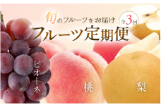 【3か月定期便】和歌山産フルーツ定期便 〈人気の桃・梨・ピオーネ 旬のフルーツを毎月お届け♪〉 もも モモ なし ナシ ぶどう ブドウ フルーツ 果物 くだもの 果物定期便 人気 和歌山【tkb114】
