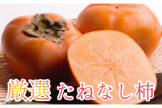 ＜10月より発送＞厳選たねなし柿2kg+60g（傷み補償分）　【刀根早生・平核無柿・富有柿】【ikd056B】