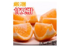 ＜4月より発送＞厳選甘夏柑5kg+150g（傷み補償分）【初夏のみかん・旬の果物】【有田産】【光センサー食べ頃出荷】【ikd059A】