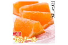 ＜4月より発送＞厳選セミノールオレンジ4.3kg+129g（傷み補償分）【春みかん】【有田産】【光センサー食べ頃出荷】【ikd075A】