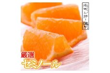＜4月より発送＞厳選セミノールオレンジ6.5kg+195g（傷み補償分）【有田の春みかん】【有田産】【光センサー食べ頃出荷】【ikd079A】