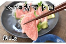 【数量限定】本まぐろカマトロ1kg 本マグロ 本鮪【nks602】