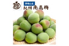 ＜６月発送＞厳選 紀州南高梅(青梅)1.7kg+51g（傷み補償分）【朝摘み・とれたて直送便】【梅干し・梅酒・梅ジュース】【和歌山産】【ikd083A】